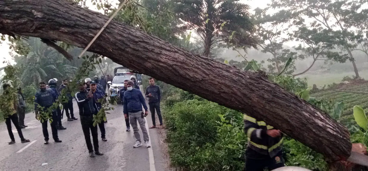 ঢাকা-বরিশাল মহাসড়কে গাছ ফেলে ২ ঘণ্টা অবরোধ